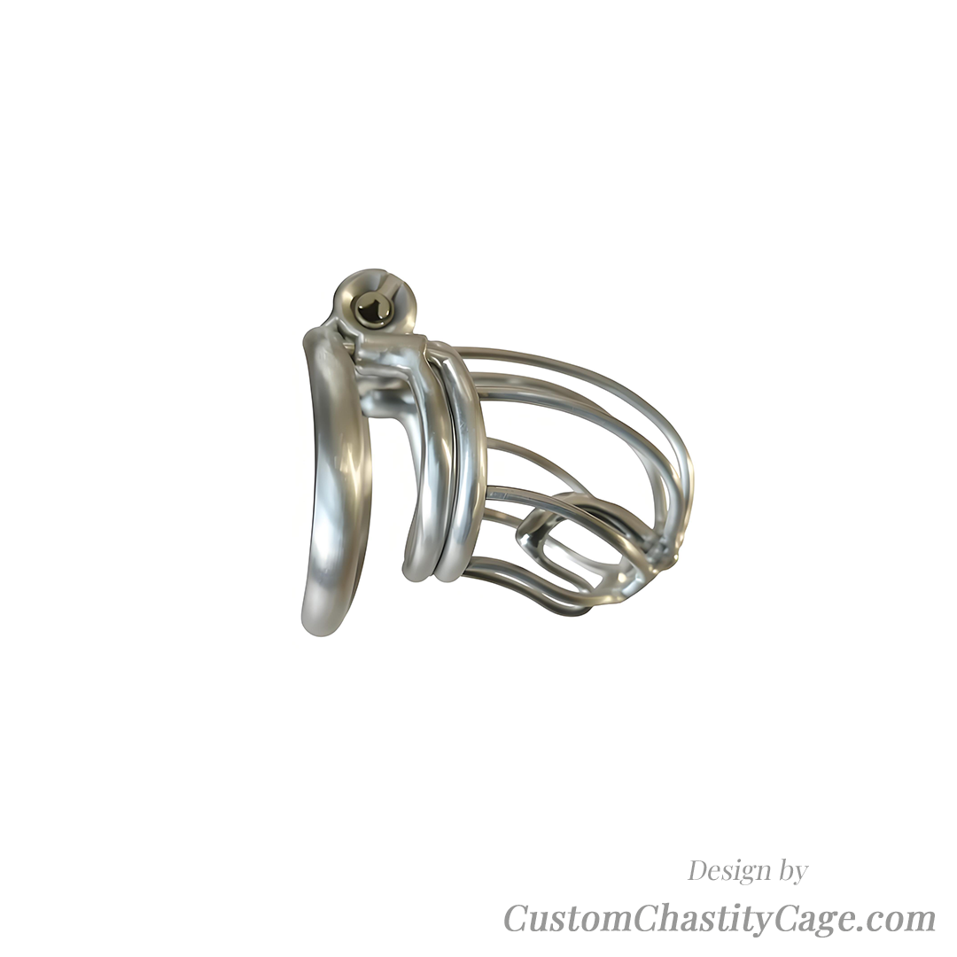 Custom Chastity Cage | Item #134