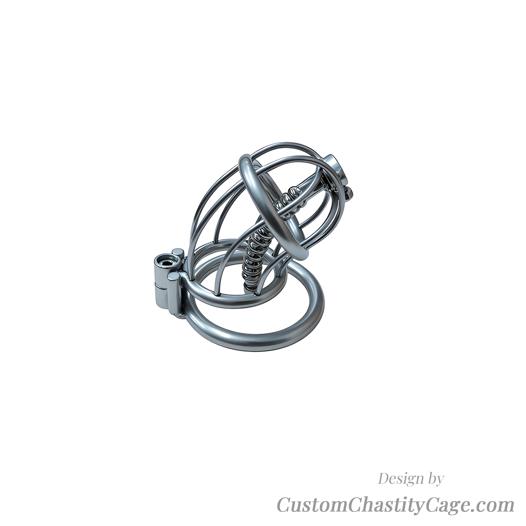 Custom Chastity Cage | Item #172