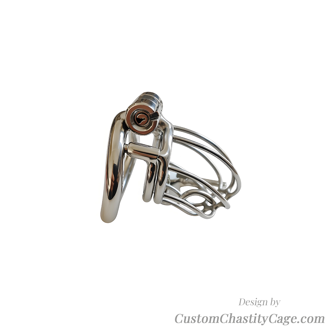 Custom Chastity Cage | Item #210