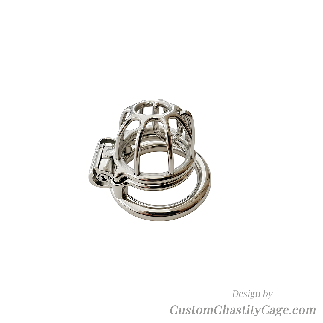 Custom Chastity Cage | Item #217