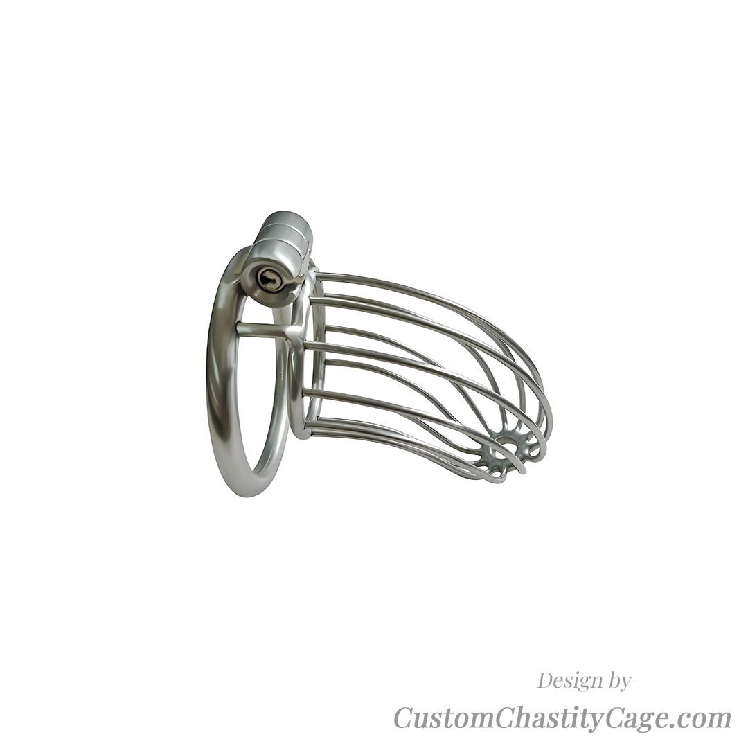 Custom Chastity Cage | Item #230
