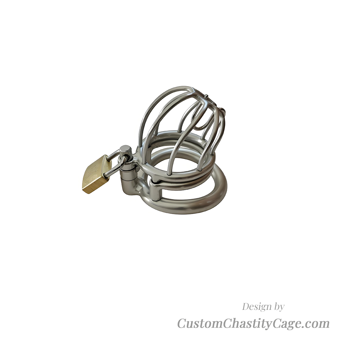 Custom Chastity Cage | Item #234