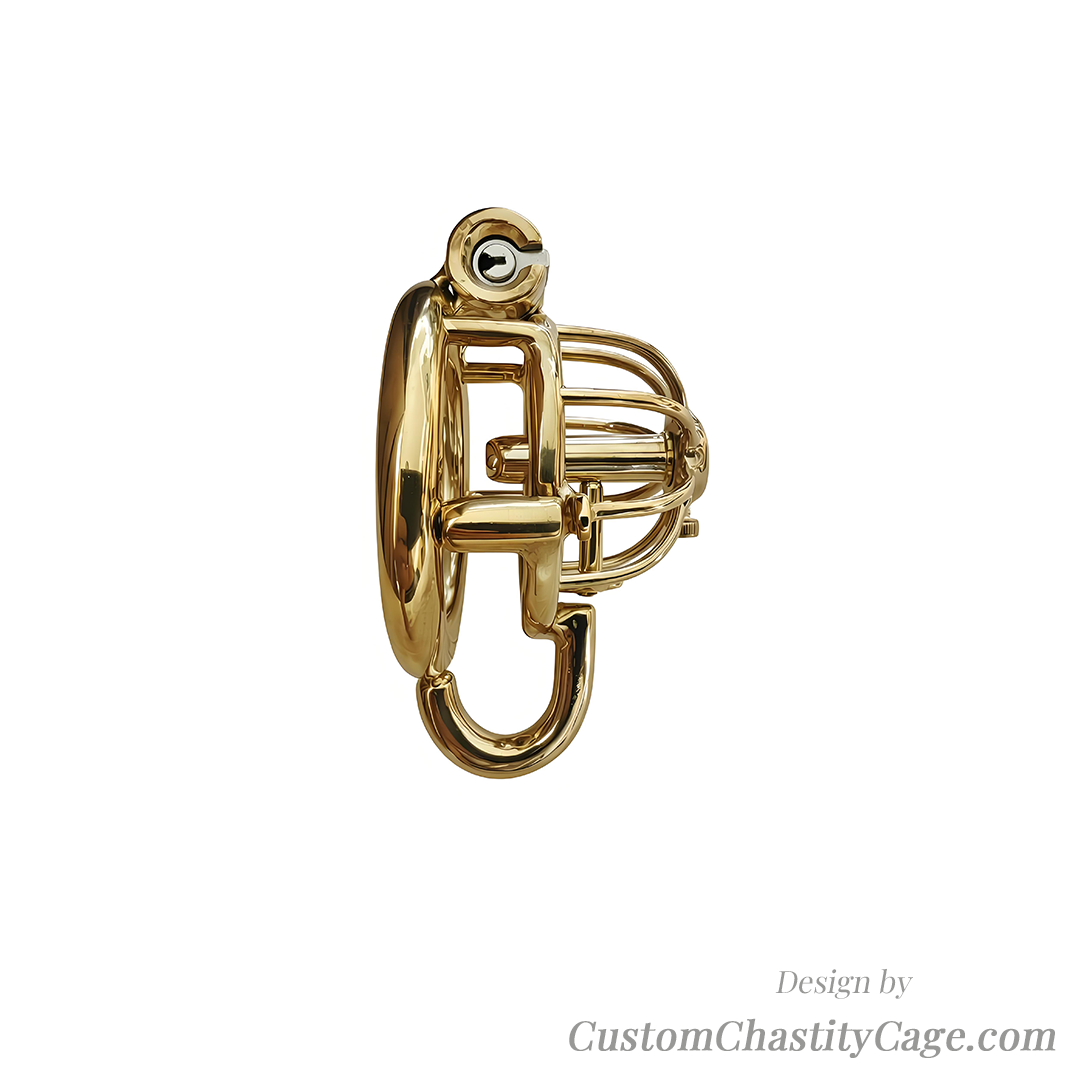 Custom Chastity Cage | Item #237