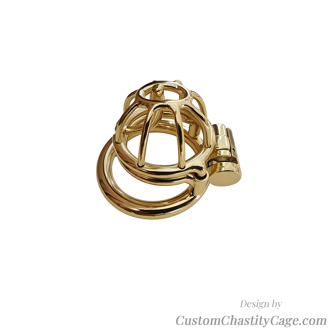 Custom Chastity Cage | Item #238