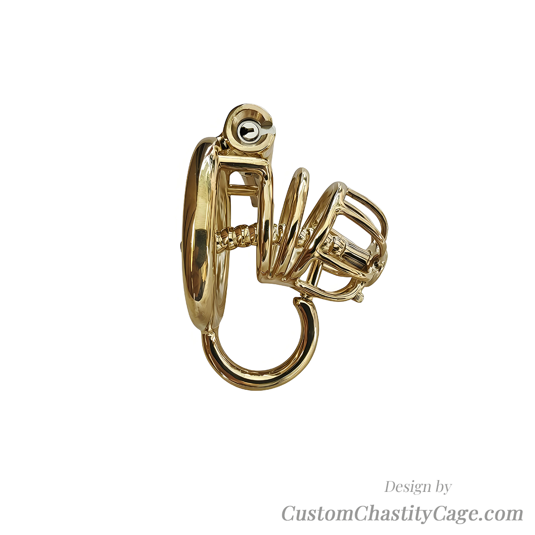 Custom Chastity Cage | Item #240